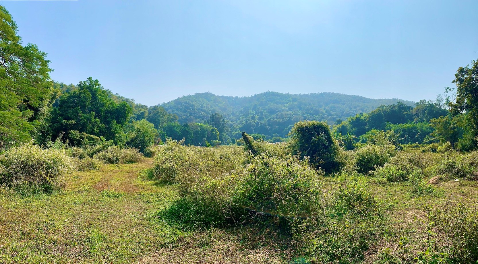 ขายที่ดิน แม่เหียะ เชียงใหม่ 3 ไร่ 1 งาน ติดลำคลอง ลำห้วย วิวทุ่งนา ภูเขา  ทางไปพระธาตุดอยคํา เพียง 5 นาที ถึงตัวเมืองเชียงใหม่ เดินทางสะดวก ไม่ไกลสนามบิน