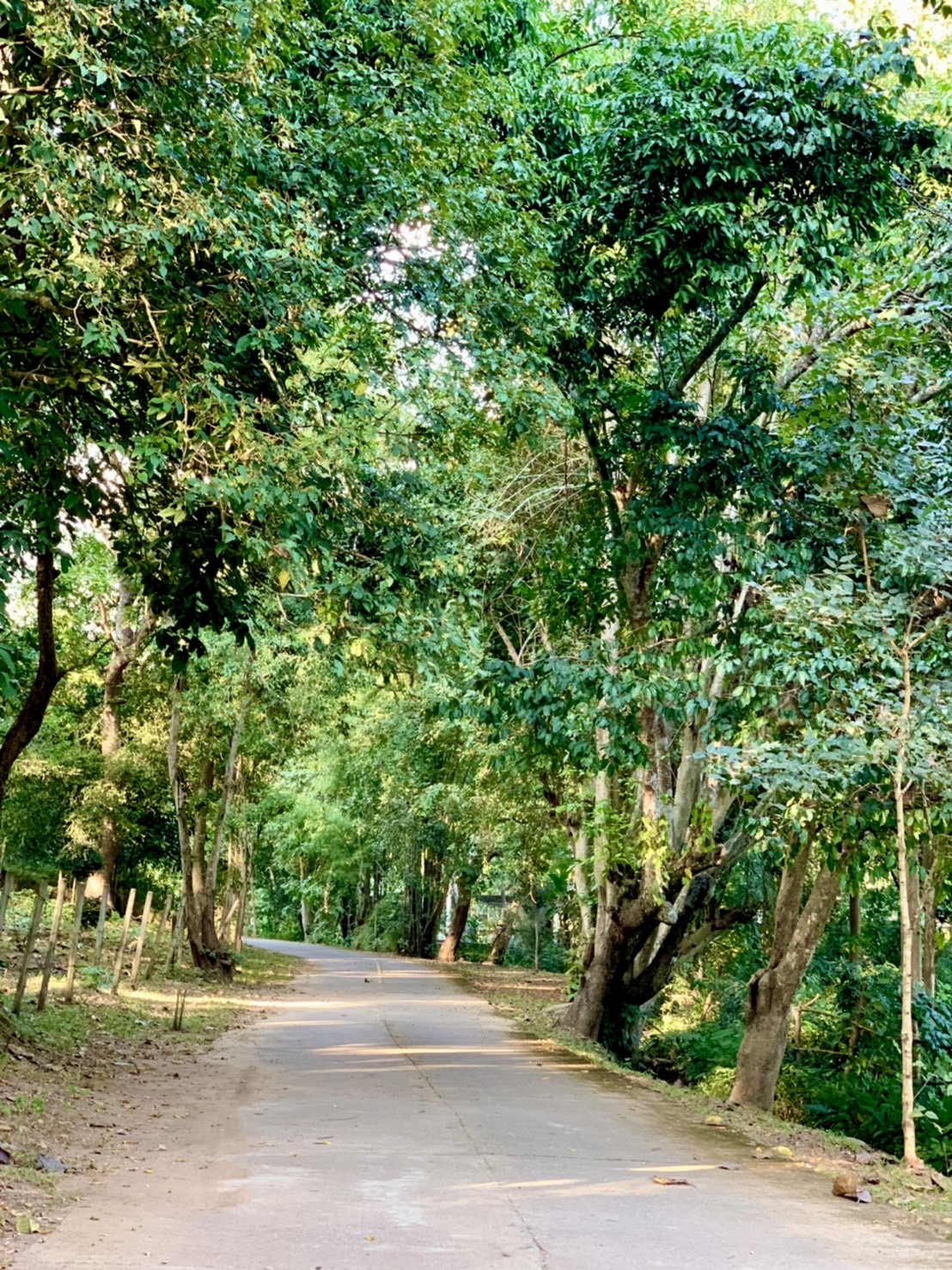 ขายที่ดิน แม่เหียะ เชียงใหม่ 3 ไร่ 1 งาน ติดลำคลอง ลำห้วย วิวทุ่งนา ภูเขา  ทางไปพระธาตุดอยคํา เพียง 5 นาที ถึงตัวเมืองเชียงใหม่ เดินทางสะดวก ไม่ไกลสนามบิน