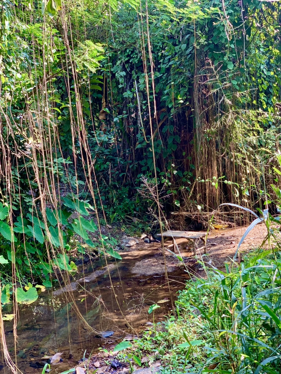 ขายที่ดิน แม่เหียะ เชียงใหม่ 3 ไร่ 1 งาน ติดลำคลอง ลำห้วย วิวทุ่งนา ภูเขา  ทางไปพระธาตุดอยคํา เพียง 5 นาที ถึงตัวเมืองเชียงใหม่ เดินทางสะดวก ไม่ไกลสนามบิน