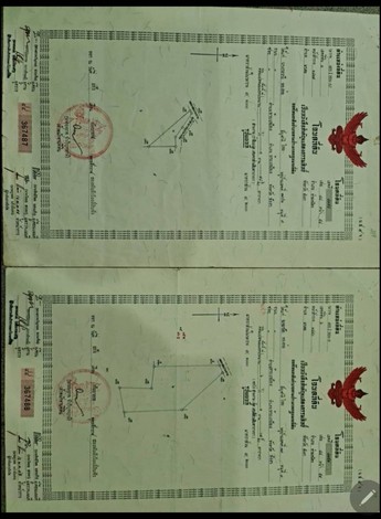 ขายที่ดินสวนมะพร้าว พร้อมทำรายได้ ทำเลสวย ราคาถูก ตำบลนาเตย อำเภท้ายเหมือง จังหวัดพังงา