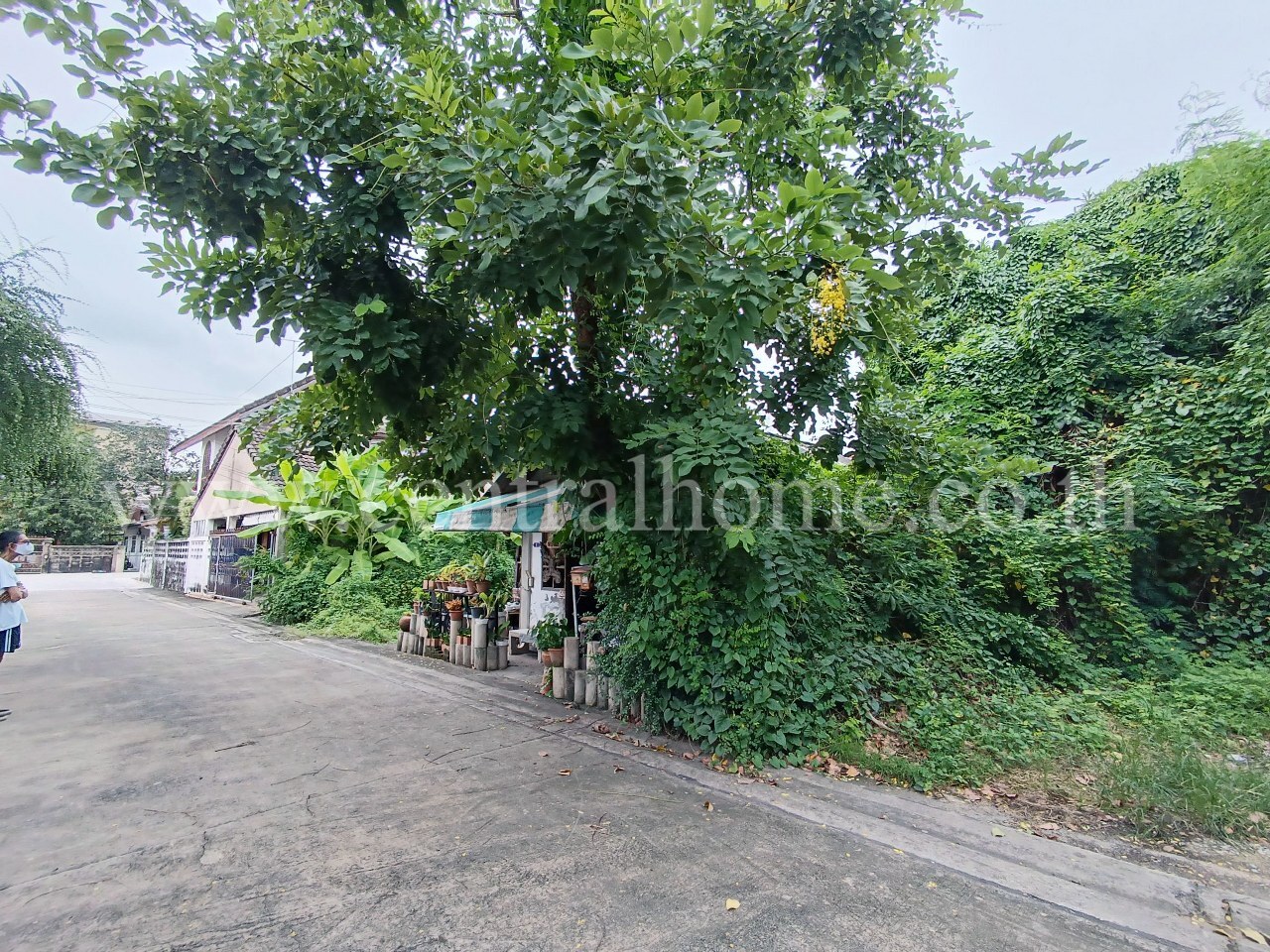 ที่ดิน ซอย รัตนาธิเบศร์ 22 ใกล้ MRT สถานี ศูนย์ราชการนนทบุรี