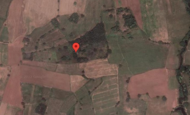 ขายที่ดินเปล่า สภาพแวดล้อมดีนาผสมไร่ ใกล้บ้านหันหลุมปูน ตำบลเสมา อำเภอสูงเนิน จังหวัดนครราชสีมา