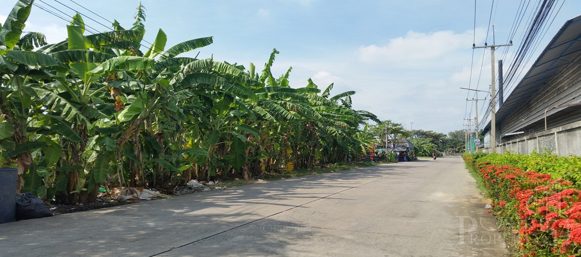 ที่วิวคุ้งน้ำ 180 องศา ที่ 7 ไร่เศษ ใกล้ตลาดกระทุ่มแบน KK3680S
