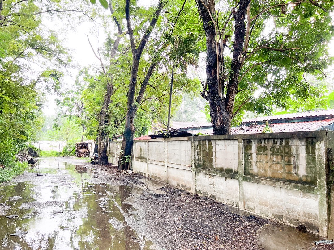 ขายที่ดินเปล่า  ติวานนท์ - ปากเกร็ด 56 ( พระแม่การุณย์ 25 )