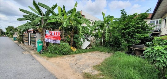 ขาย ที่ดิน ซอยกาญจนาภิเษก 11/1 ( ซอยชุมชนหมู่บ้านเปรมฤทัย 3 ) เนื้อที่ 48 ตรว. เหมาะกับการ สร้างบ้านพักอาศัย Townhouse ,office ทำเลดี ใกล้ทางด่วน