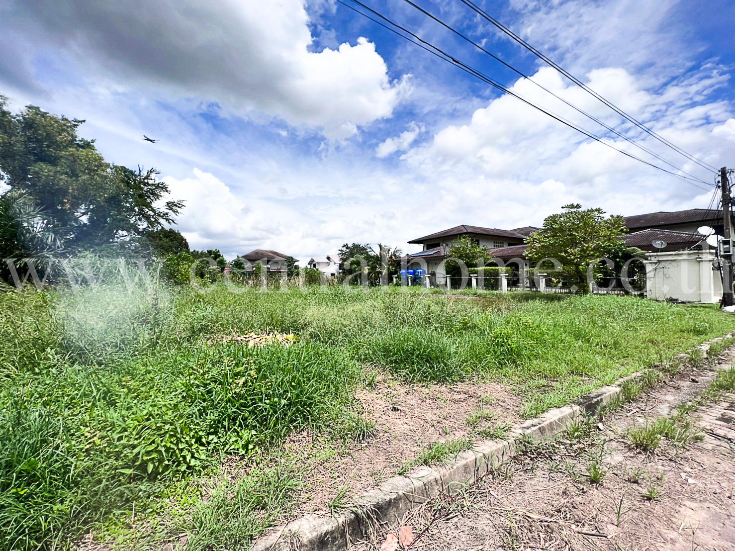 ที่ดิน ม.สวนเอก เลคปาร์ค ถ.ลําลูกกา ( คลองหนึ่ง )