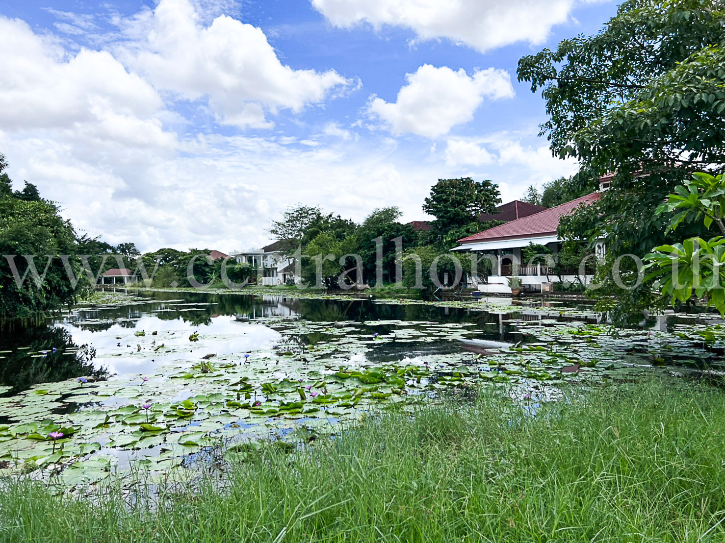 ที่ดิน ม.สวนเอก เลคปาร์ค ถ.ลําลูกกา ( คลองหนึ่ง )