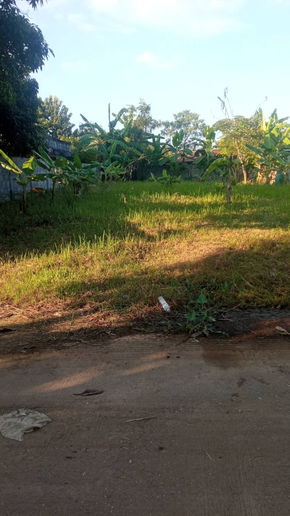 ขายที่ดิน 0-0-95 THB700,000 ลำภู เมือง หนองบัวลำภู