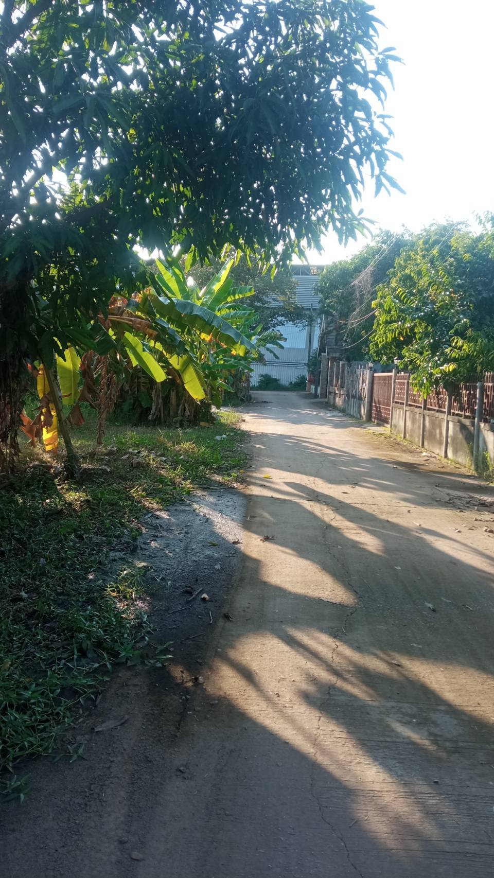 ขายที่ดิน 0-0-95 THB700,000 ลำภู เมือง หนองบัวลำภู