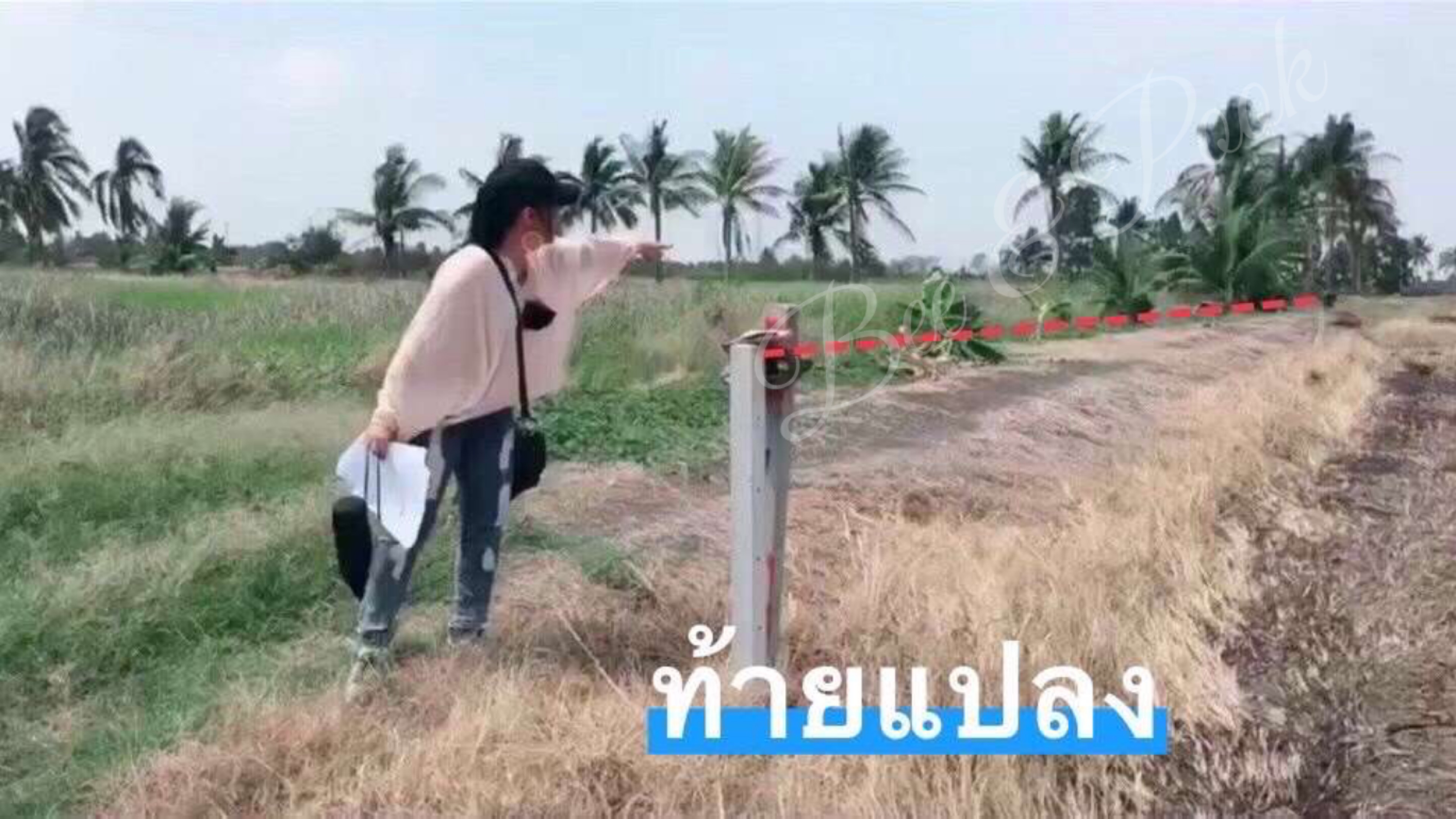 ขายที่ดิน เขตลาดกระบัง ขายยกแปลง 15 ไร่ 49 ตารางวา ตร.ว.ละ10,000บาท 