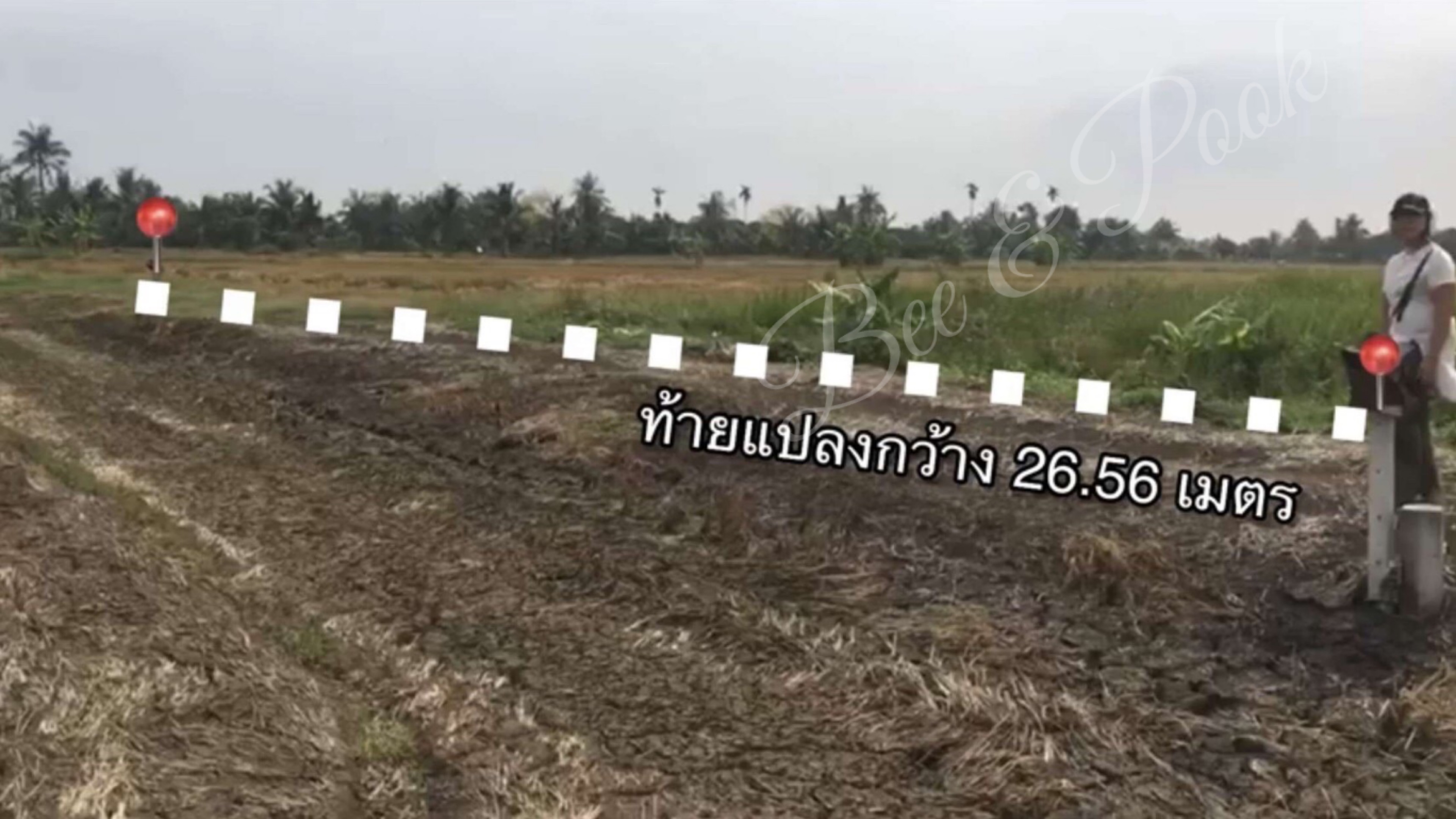 ขายที่ดิน เขตลาดกระบัง ขายยกแปลง 15 ไร่ 49 ตารางวา ตร.ว.ละ10,000บาท 