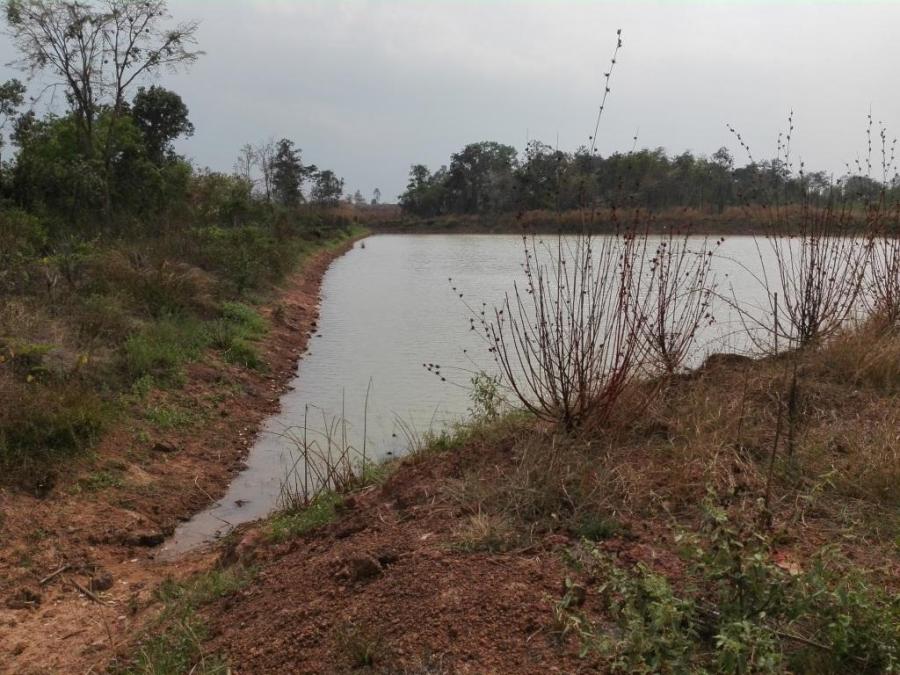 ขายที่ดิน 47-0-0 THB18,800,000 เพ็ญ อุดรธานี