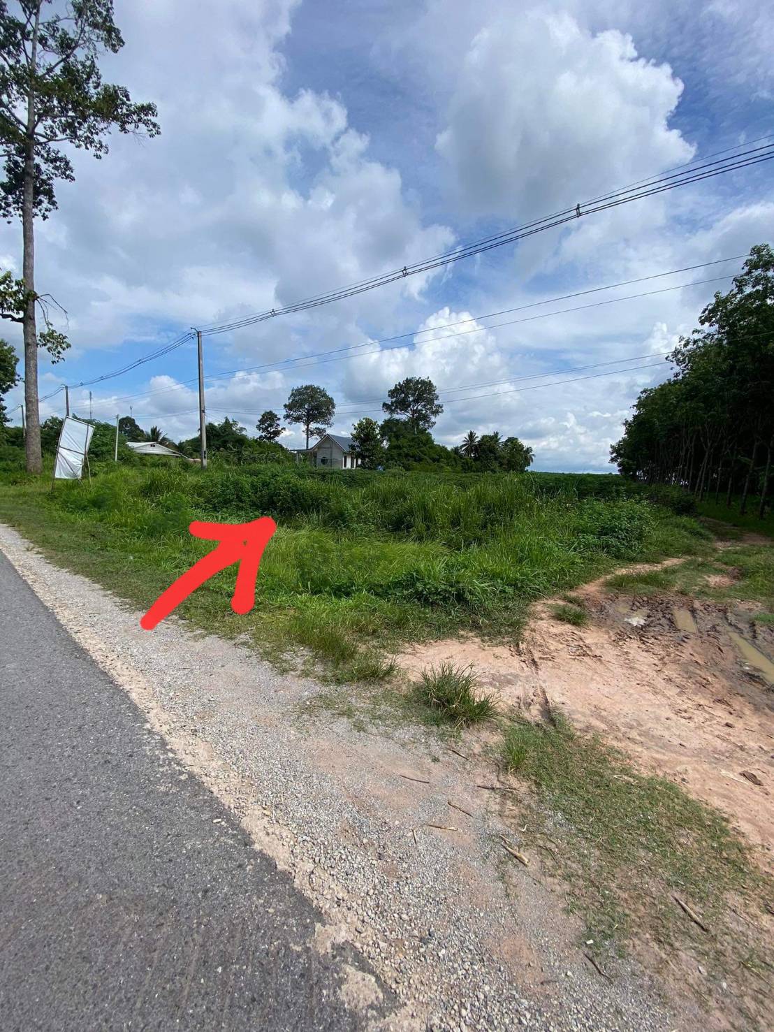 ขายที่ดิน 11-0-90 THB15,000,000 โนนทัน เมือง หนองบัวลำภู