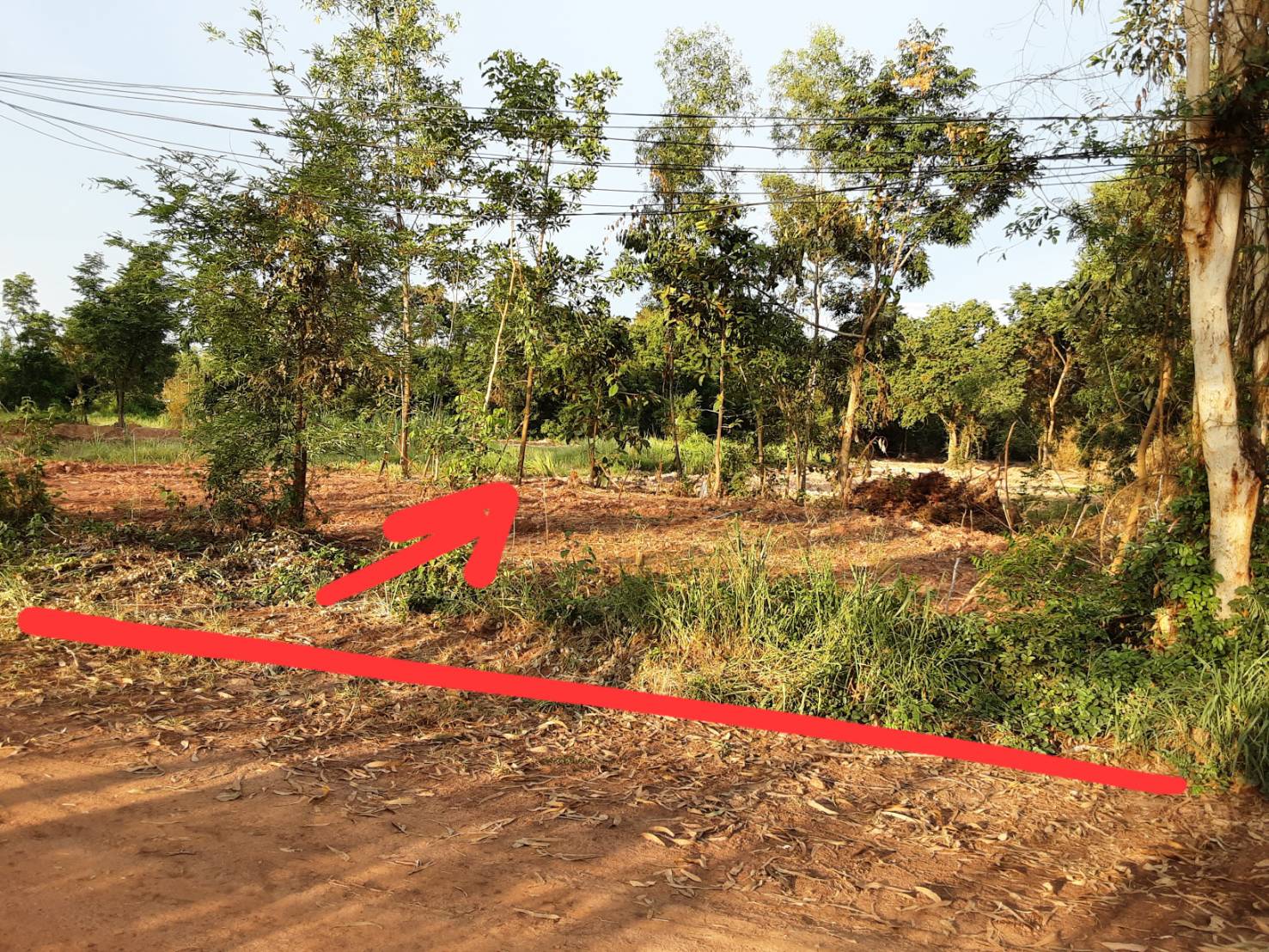 ขายที่ดิน 2-0-0 THB1,200,000 บ้านเลื่อม เมือง อุดรธานี