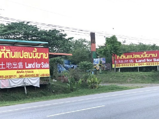 ขายที่ดิน ปักธงชัย โคราช ติดถนน 304 นครราชสีมา-กบินทร์บุรี ฝั่งเข้าตัวเมืองนครราชสีมา เจ้าของขายเอง