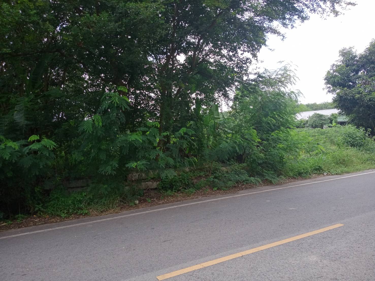 ขายที่ดิน 4-2-26 THB2,300,000 บ้านตาด เมือง อุดรธานี