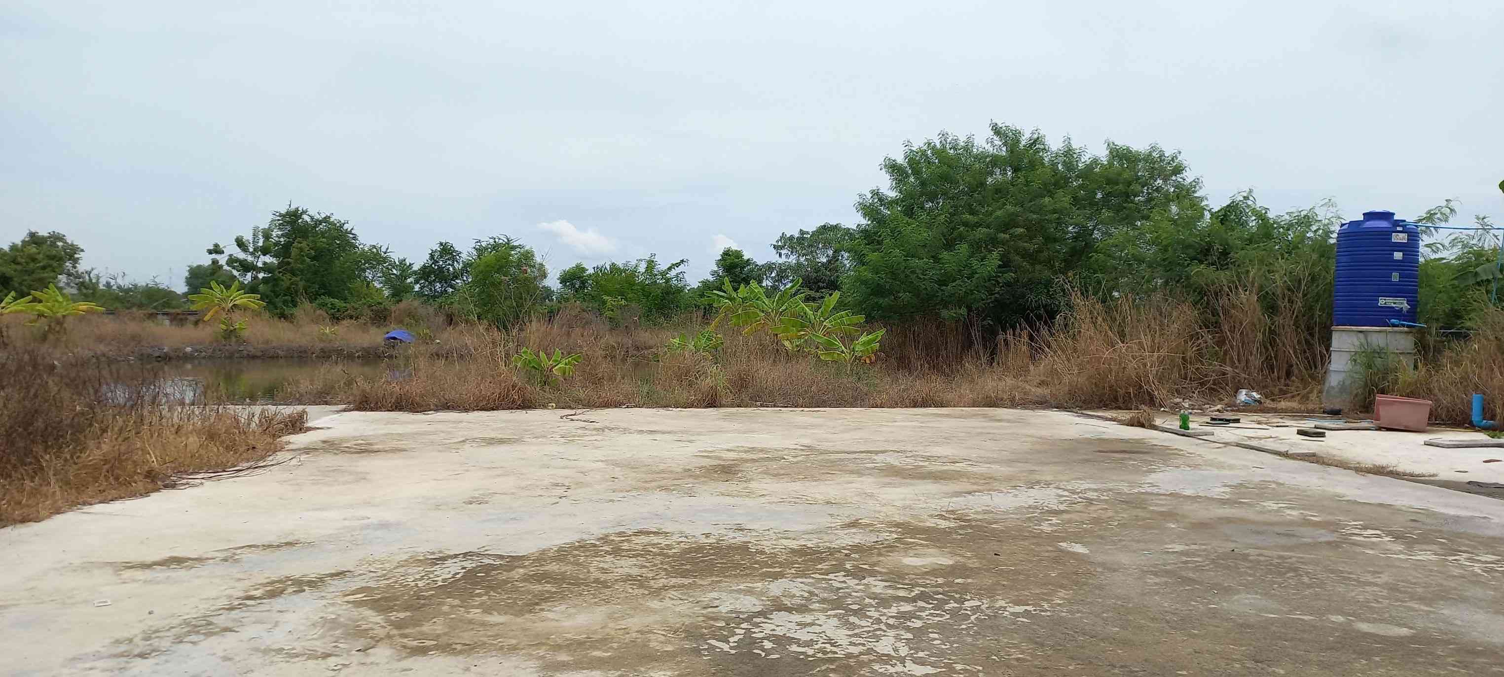 ขายด่วน ที่ดินโรงเรือนพร้อมบ้าน ทำเลดี ติดถนนใหญ่ อำเภอบ้านโพธิ์ จังหวัดฉะเชิงเทรา (เจ้าของขายเอง)