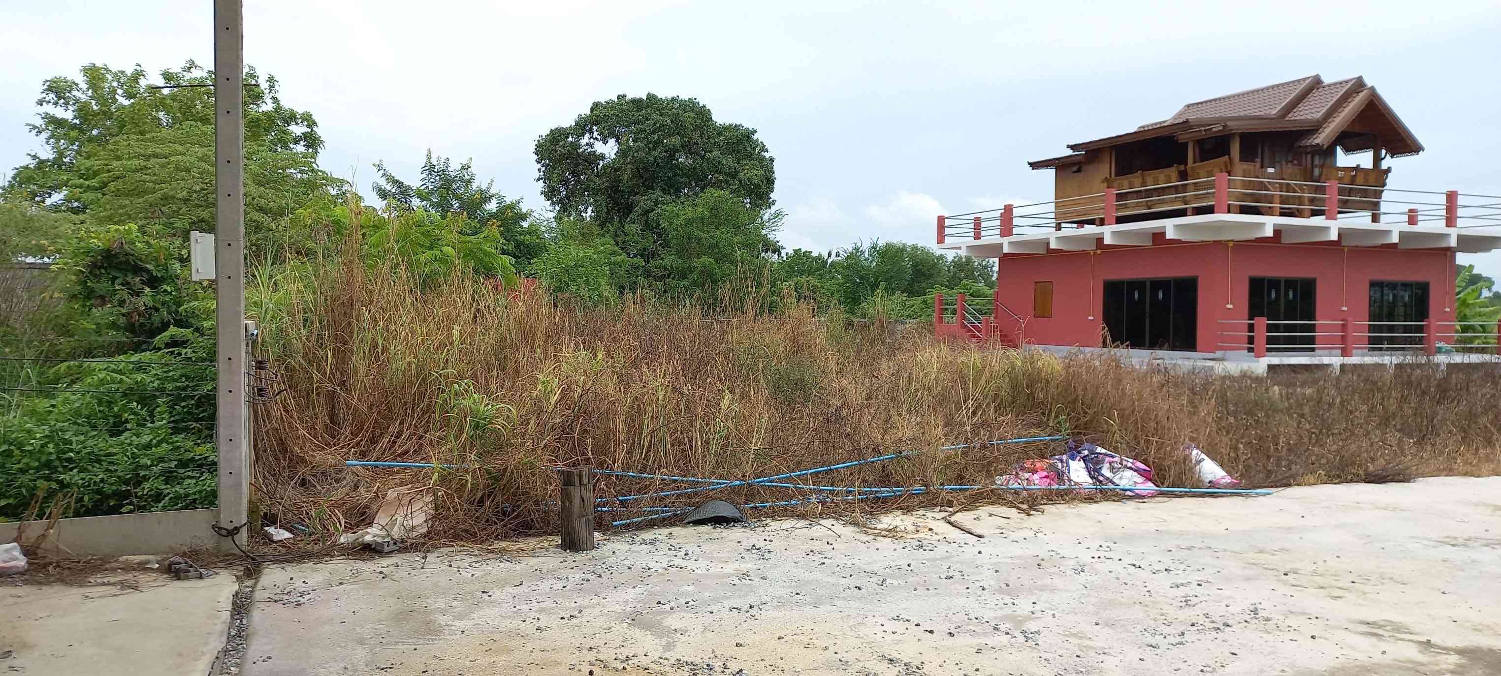 ขายด่วน ที่ดินโรงเรือนพร้อมบ้าน ทำเลดี ติดถนนใหญ่ อำเภอบ้านโพธิ์ จังหวัดฉะเชิงเทรา (เจ้าของขายเอง)