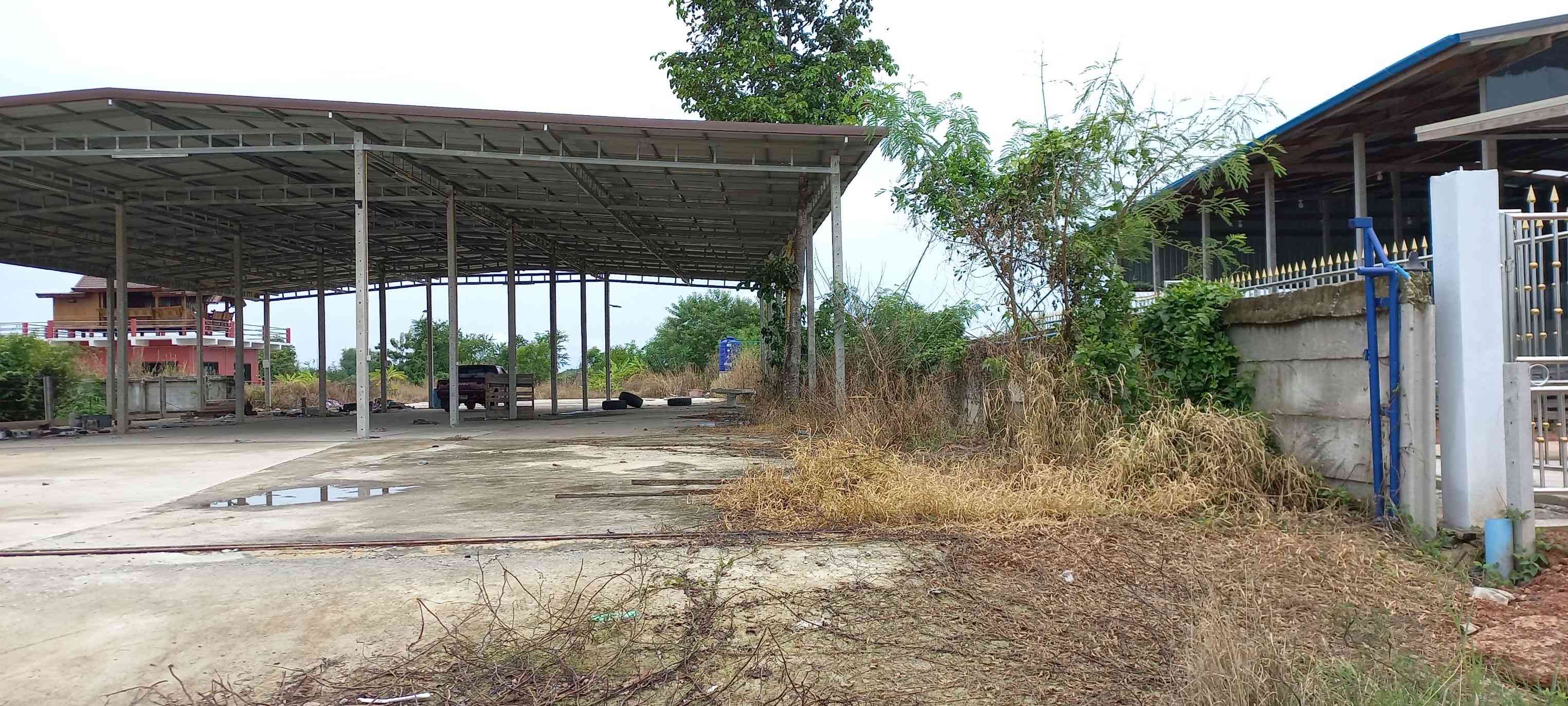 ขายด่วน ที่ดินโรงเรือนพร้อมบ้าน ทำเลดี ติดถนนใหญ่ อำเภอบ้านโพธิ์ จังหวัดฉะเชิงเทรา (เจ้าของขายเอง)