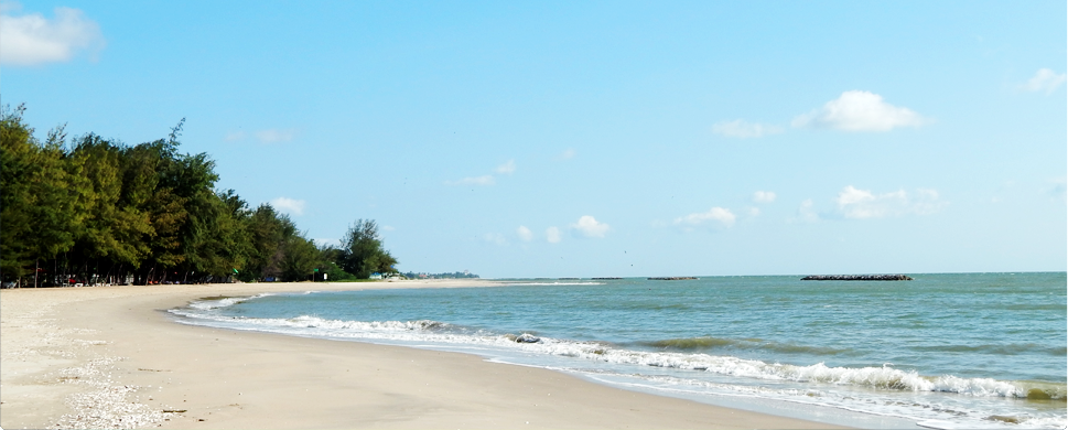 ขายที่ดินใกล้หาดปึกเตียน 48 ตรว. 279,000 บาท