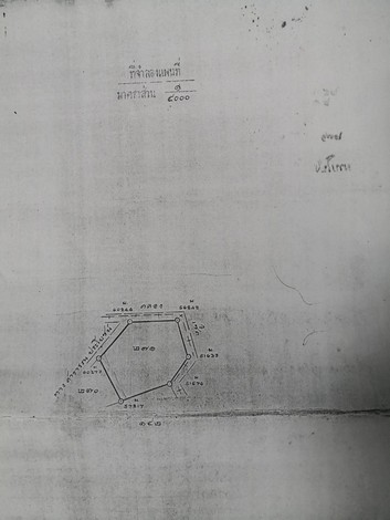 ขายที่ดินเปล่าติดถนน เหมาะทำธุรกิจได้หลายอย่าง ทำเลดี อ.พานทอง จ.ชลบุรี