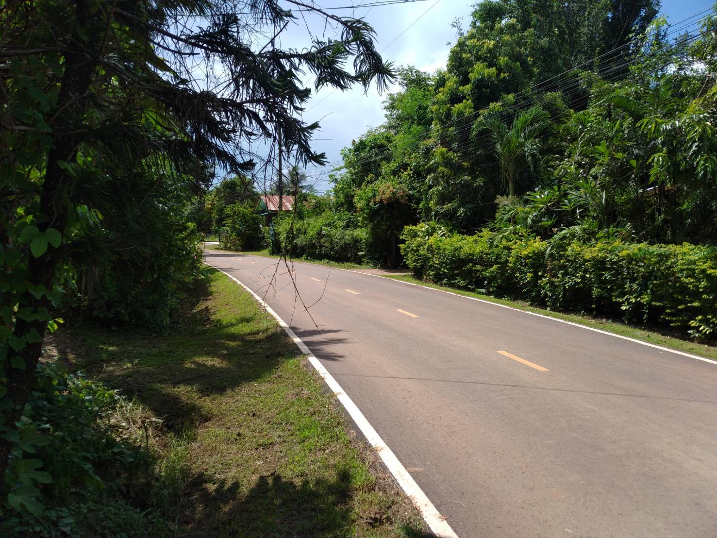 ขายที่ดิน 11-1-80 THB5,500,000 ผาสุก กุมภวาปี อุดรธานี