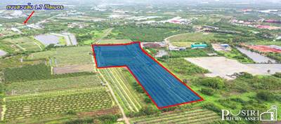 ขายที่ 31 ไร่ หน้ากว้างมาก 133 เมตร ราคาคุ้มสุด ในตลาดเชื่อมต่อหลายเส้นทาง ถนนสวนส้ม บางปลา พระราม 2