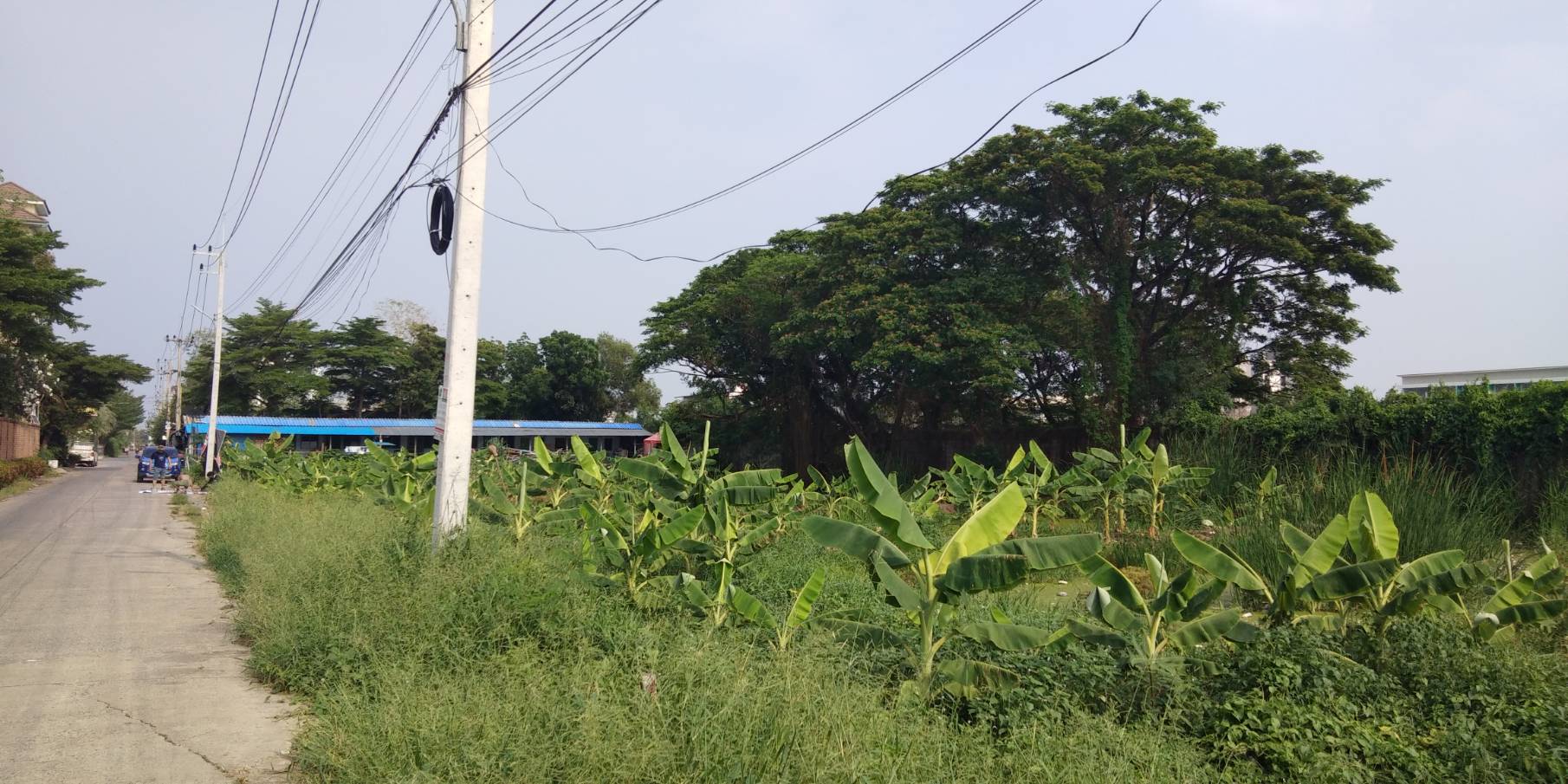 ขายที่ดิน ซอยกุญชร14​ ตำบลคลอง1 จังหวัดปทุมธานี​ พร้อมโอน​