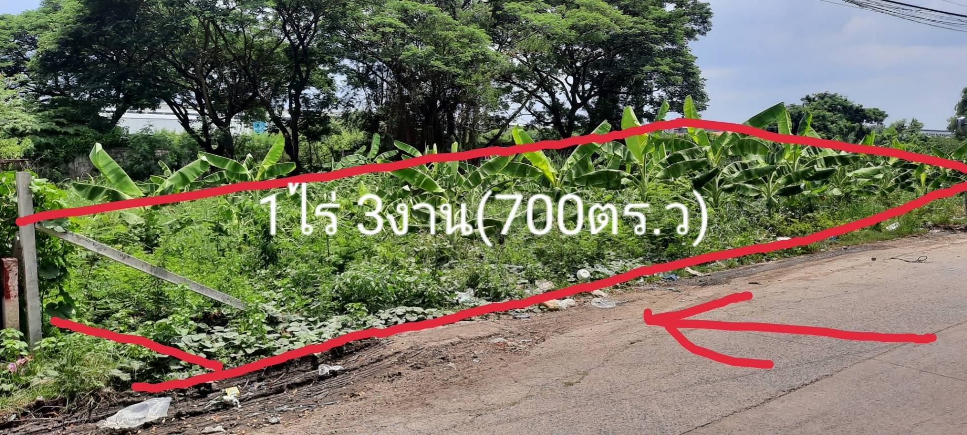 ขายที่ดิน ซอยกุญชร14​ ตำบลคลอง1 จังหวัดปทุมธานี​ พร้อมโอน​