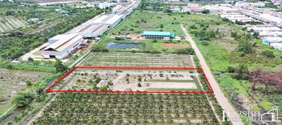 ขายที่สวย 5ไร่ สร้างโรงงานใหญ่ได้ถึง 5,000 ตร.ม.  พร้อมระบายน้ำลงคลองด้านหลังได้ทันที และใกล้ ถ.พระราม 2 และอีก 2 ถนนหลัก - KK3691S