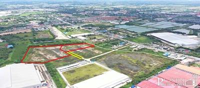 ขายที่สีม่วง สร้างโรงงานได้ทุกประเภท มี 2 เเปลง 7 เเละ 15 ไร่ โซนชลบุรี(พานทอง) ใกล้ทางด่วนกรุงเทพ – ชลบุรีสายใหม่ kk5121s