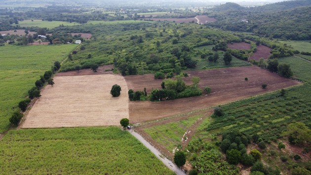 ขายถูกที่ดินแปลงสวย วิวเขาวังไทร เขาใหญ่ 33 ที่จัดสรรแบ่งขายหรือซื้อไว้เพื่อเก็งกำไร จ.นครราชสีมา