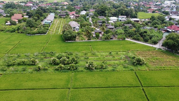 ขายที่ดิน เขตชุมชน ติดถนนลาดยาง ทำเลดี  ดอยสะเก็ด เชียงใหม่ เจ้าของขายเอง