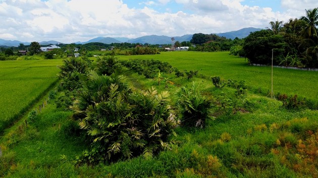 ขายที่ดิน เขตชุมชน ติดถนนลาดยาง ทำเลดี  ดอยสะเก็ด เชียงใหม่ เจ้าของขายเอง