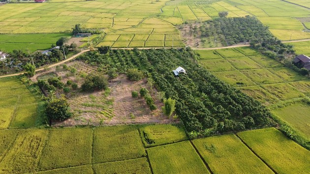 ขายที่ดินเปล่า ติดถนน ทำเลดี เหมาะสำหรับทำธุรกิจ ดอยสะเก็ด เชียงใหม่