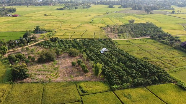 ขายที่ดินเปล่า ติดถนน ทำเลดี เหมาะสำหรับทำธุรกิจ ดอยสะเก็ด เชียงใหม่