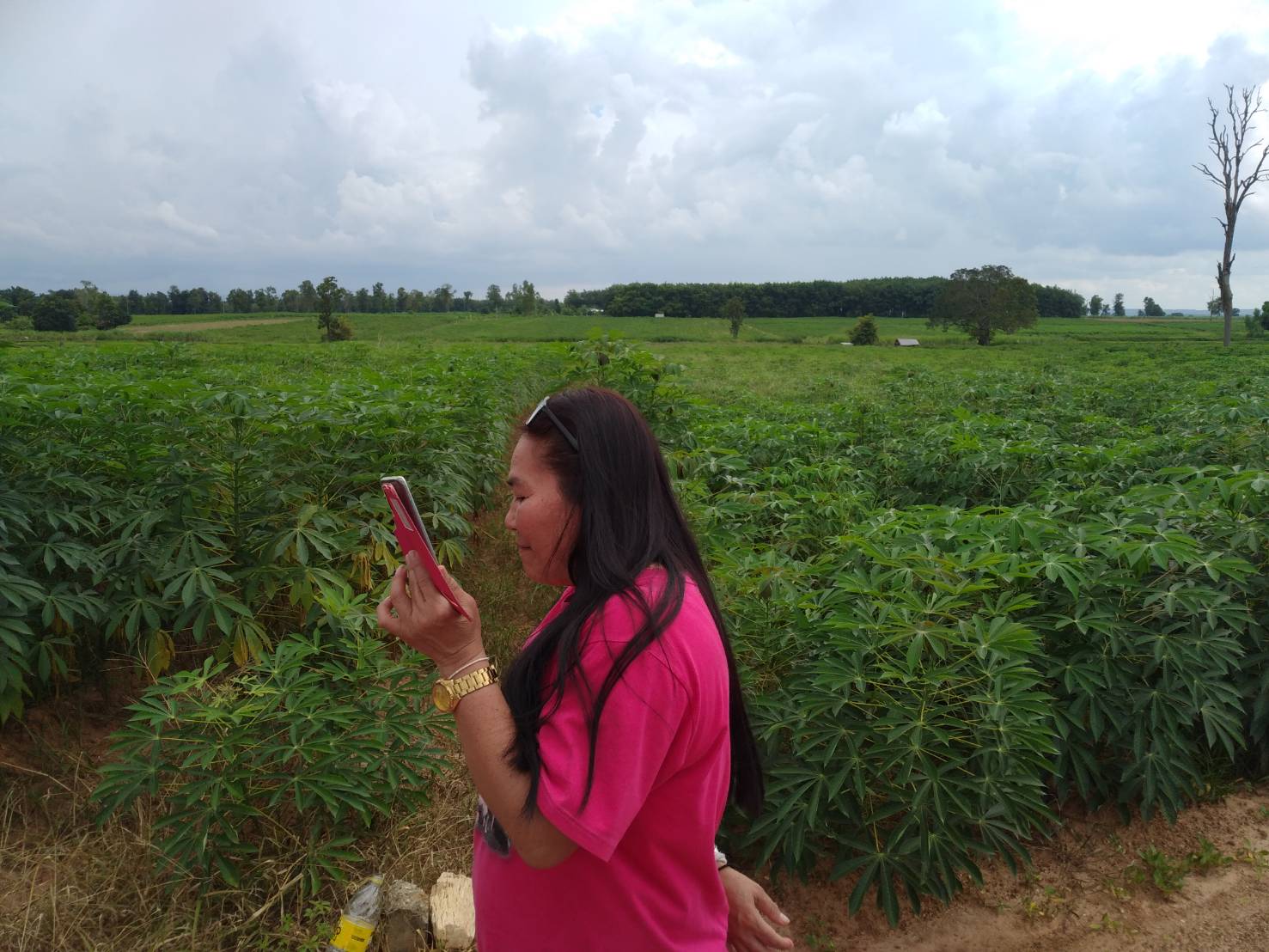 ขายที่ดิน 30-0-67 THB4,525,125 ดอนหายโศก หนองหาน อุดรธานี