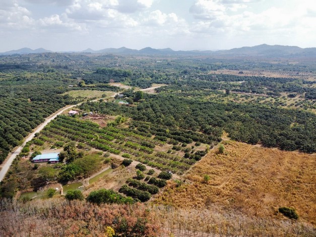 ขายที่ดินสวนลำไยพร้อมบ้านพักหลังใหญ่ บรรยากาศดี ทำเลดี ติดถนน จ.จันทบุรี