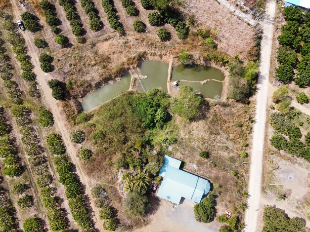 ขายที่ดินสวนลำไยพร้อมบ้านพักหลังใหญ่ บรรยากาศดี ทำเลดี ติดถนน จ.จันทบุรี