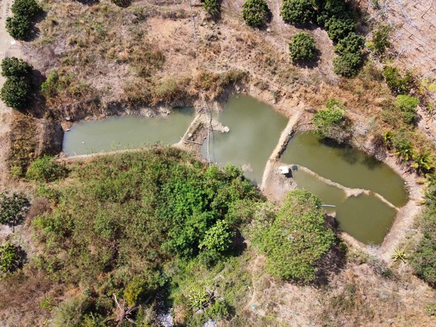 ขายที่ดินสวนลำไยพร้อมบ้านพักหลังใหญ่ บรรยากาศดี ทำเลดี ติดถนน จ.จันทบุรี