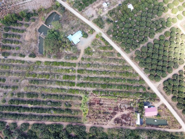 ขายที่ดินสวนลำไยพร้อมบ้านพักหลังใหญ่ บรรยากาศดี ทำเลดี ติดถนน จ.จันทบุรี