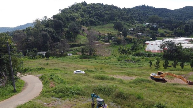 ขายที่สวยบนดอยสูง อากาศเย็นสบายตลอดปี แม่ริม เชียงใหม่ เจ้าของขายเอง