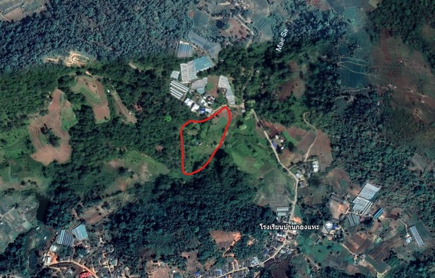 ขายที่สวยบนดอยสูง อากาศเย็นสบายตลอดปี แม่ริม เชียงใหม่ เจ้าของขายเอง