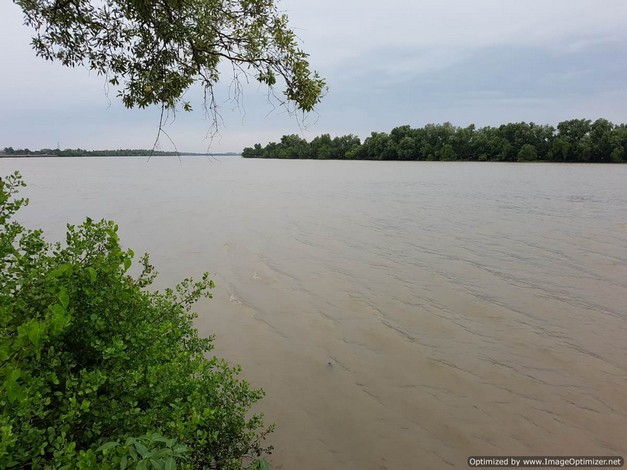 ขายที่ดิน 3 ไร่ครึ่ง แปลงสวย ติดแม่น้ำบางประกง ตำบลบ้านโพธิ์ อำเภอบ้านโพธิ์ จังหวัดฉะเชิงเทรา 