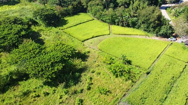 ขายที่ดินพร้อมบ่อน้ำพุร้อน เหมาะสำหรับทำธุรกิจ แม่ออน เชียงใหม่ เจ้าของขายเอง