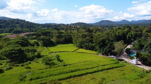 ขายที่ดินพร้อมบ่อน้ำพุร้อน เหมาะสำหรับทำธุรกิจ แม่ออน เชียงใหม่ เจ้าของขายเอง