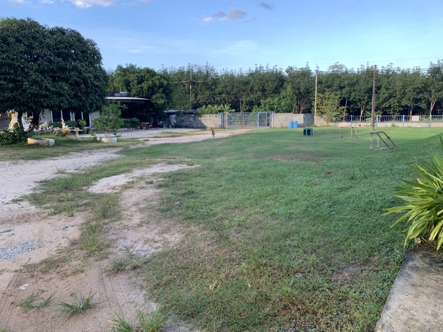 ขายโกดัง เนื้อที่ 6 ไร่ 61 ตรว. ที่ดินหน้ากว้าง 112 เมตร สามารถขอ รง.4 ได้ อยู่ ตำบลหนองละรอก อำเภอบ้านค่าย จังหวัดระยอง โรงงาน ขาย ฿20,000,000