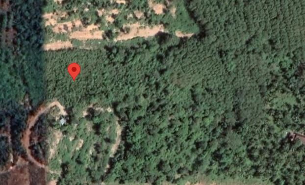 ขายที่ดินซีวิว ใกล้ทะเล เหมาะแก่การทำรีสอร์ท อำเภอเกาะยาว จังหวัดพังงา