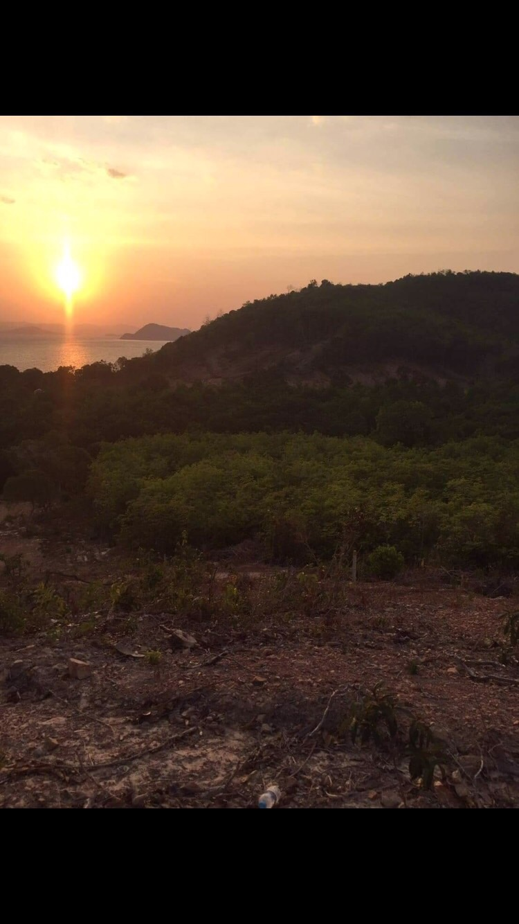 ขายที่ดินซีวิว ใกล้ทะเล เหมาะแก่การทำรีสอร์ท อำเภอเกาะยาว จังหวัดพังงา