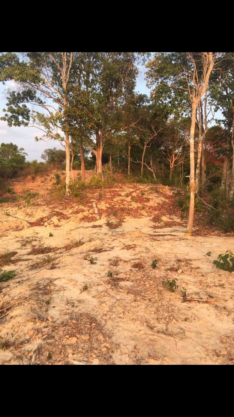 ขายที่ดินซีวิว ใกล้ทะเล เหมาะแก่การทำรีสอร์ท อำเภอเกาะยาว จังหวัดพังงา